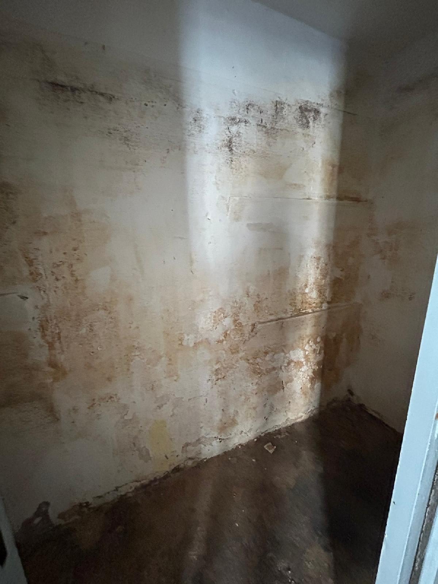  en venta comercio Benetússer Horta Sud 7