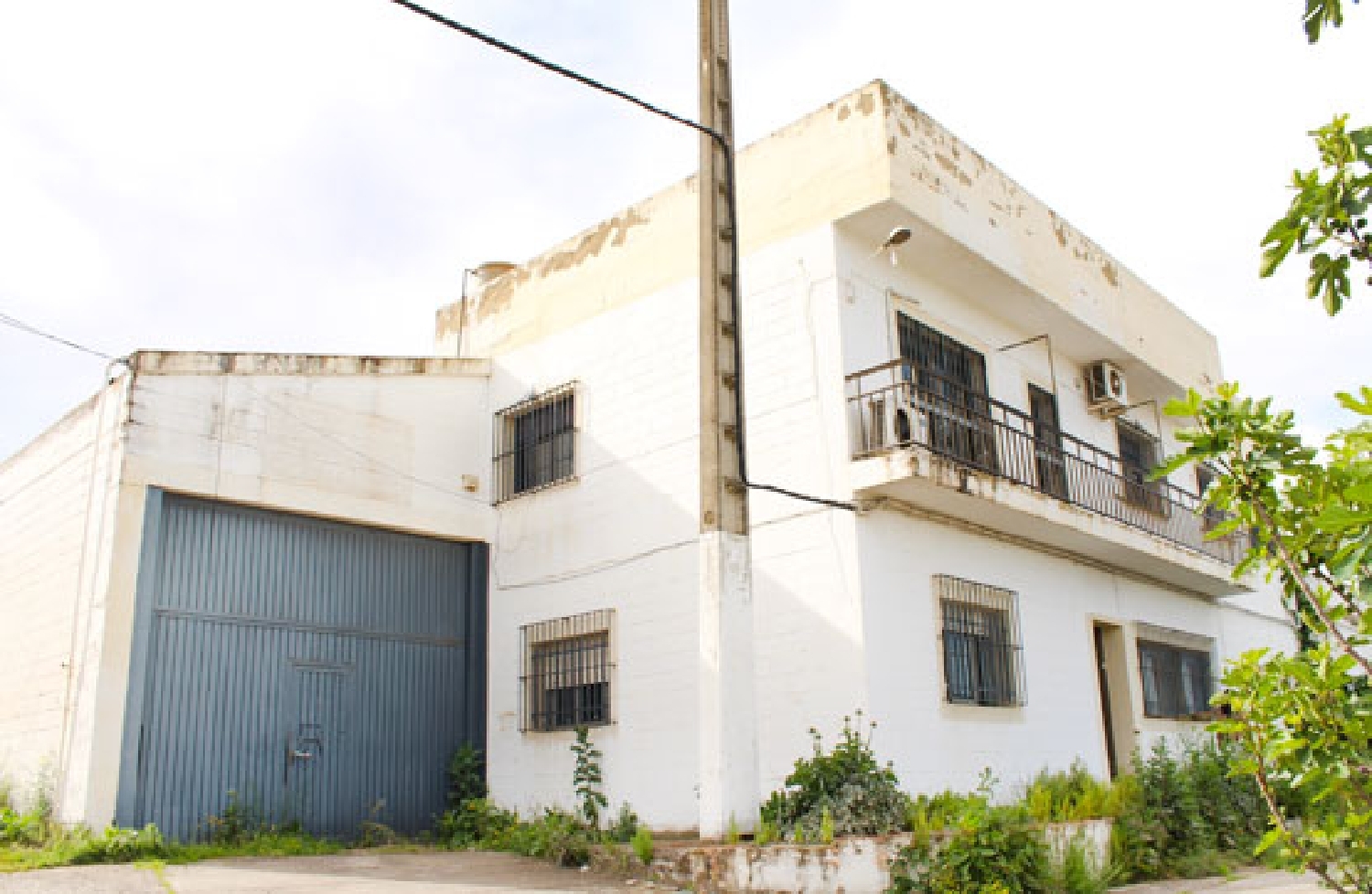  à vendre boutique La Rinconada Vega Del Guadalquivir 1