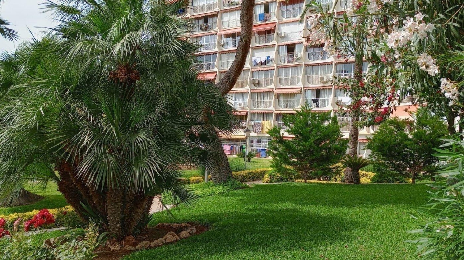  à vendre studio Benidorm Marina Baixa 5