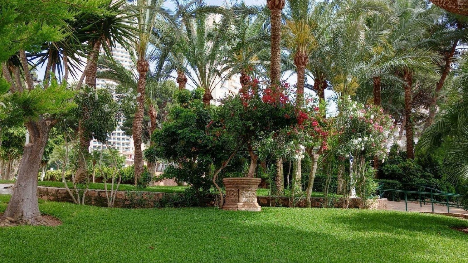  à vendre studio Benidorm Marina Baixa 4