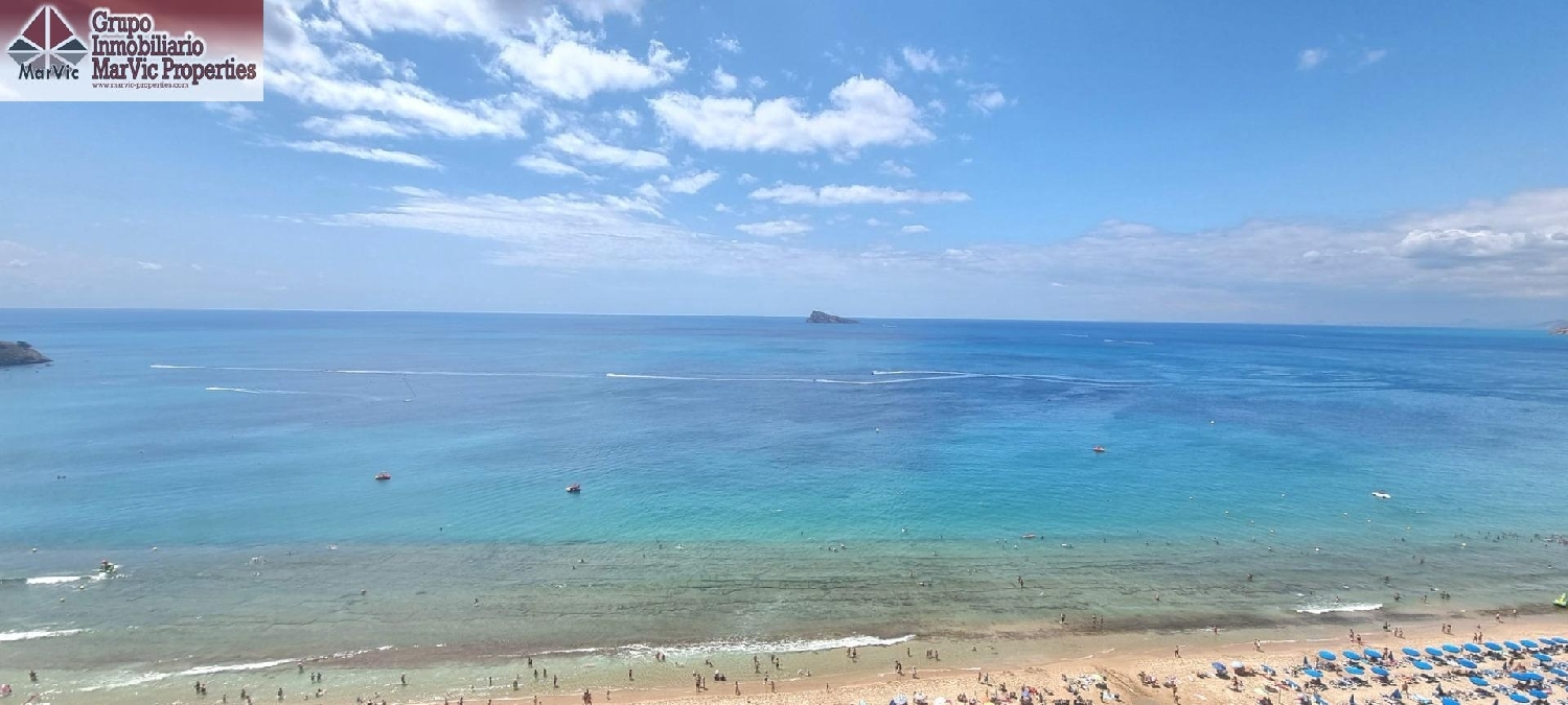  en venta estudio Benidorm Marina Baixa 1