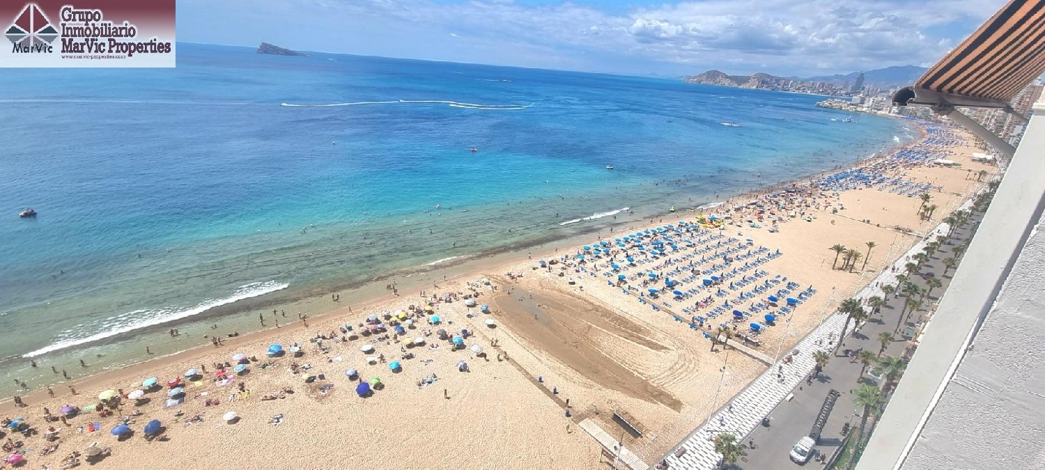te koop studio Benidorm Marina Baixa 2