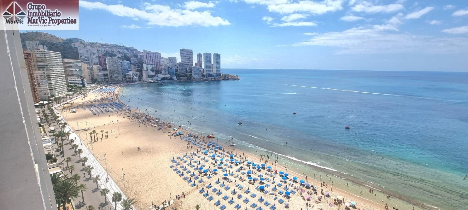  en venta estudio Benidorm Marina Baixa 4