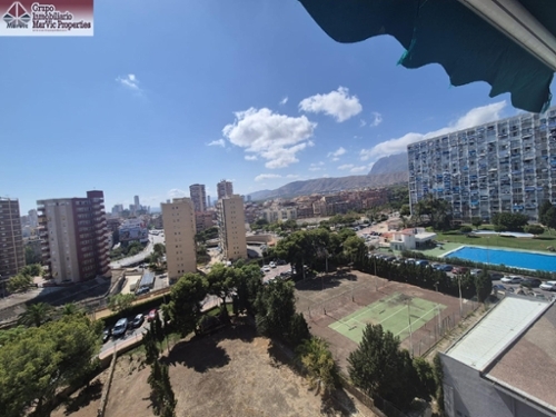 Benidorm Marina Baixa estudio foto 6287687
