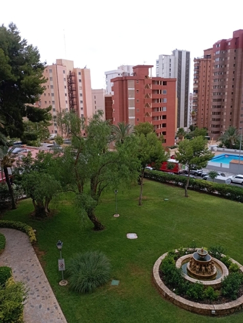 Benidorm (Centro) Marina Baixa studio foto 6291899