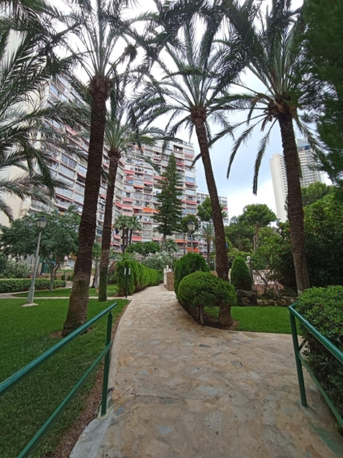 Benidorm (Centro) Marina Baixa Einzimmerwohnung Bild 6289539