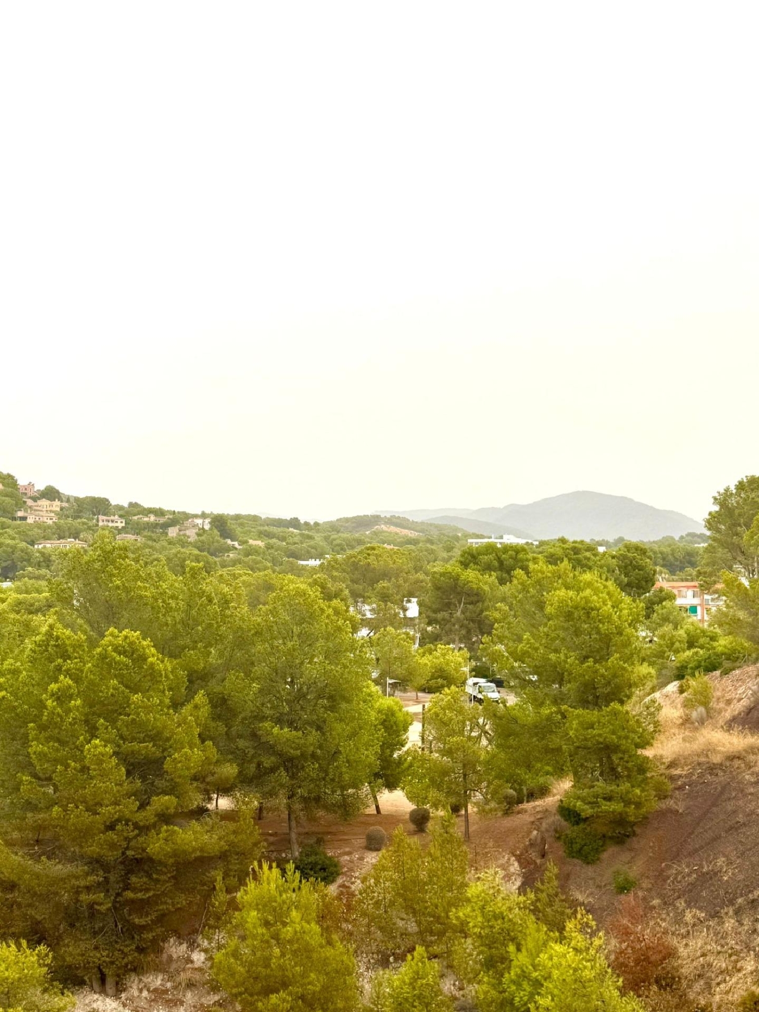  en venta estudio Calvià Ponent 1