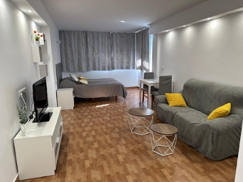 Torremolinos Costa Del Sol Occidental Einzimmerwohnung Bild 6293204