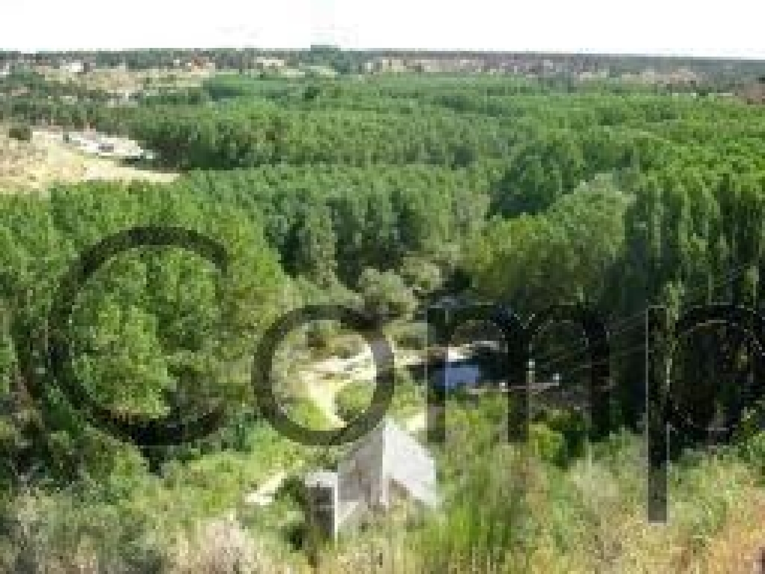  en venta casa de pueblo Navas De Oro Campiña Segoviana 4