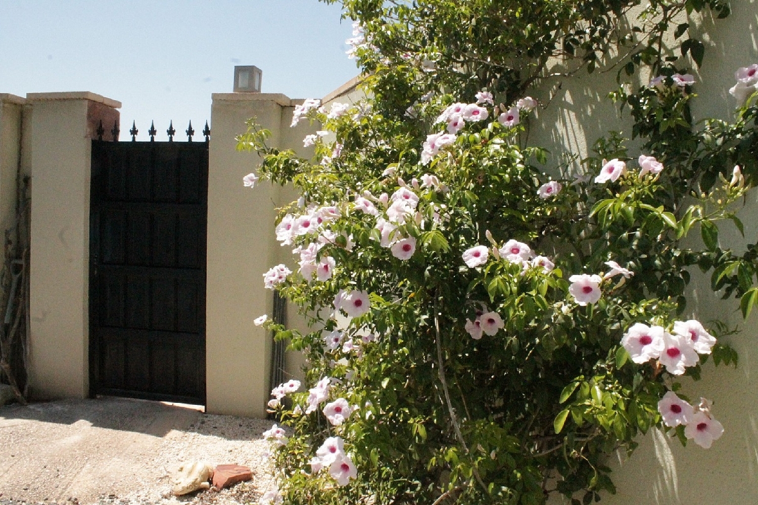  till salu villa Abanilla Oriental 26