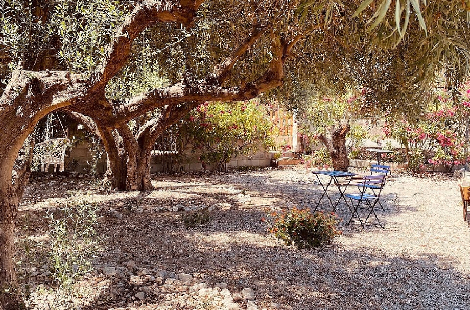  for sale villa Albatera Baix Segura 9