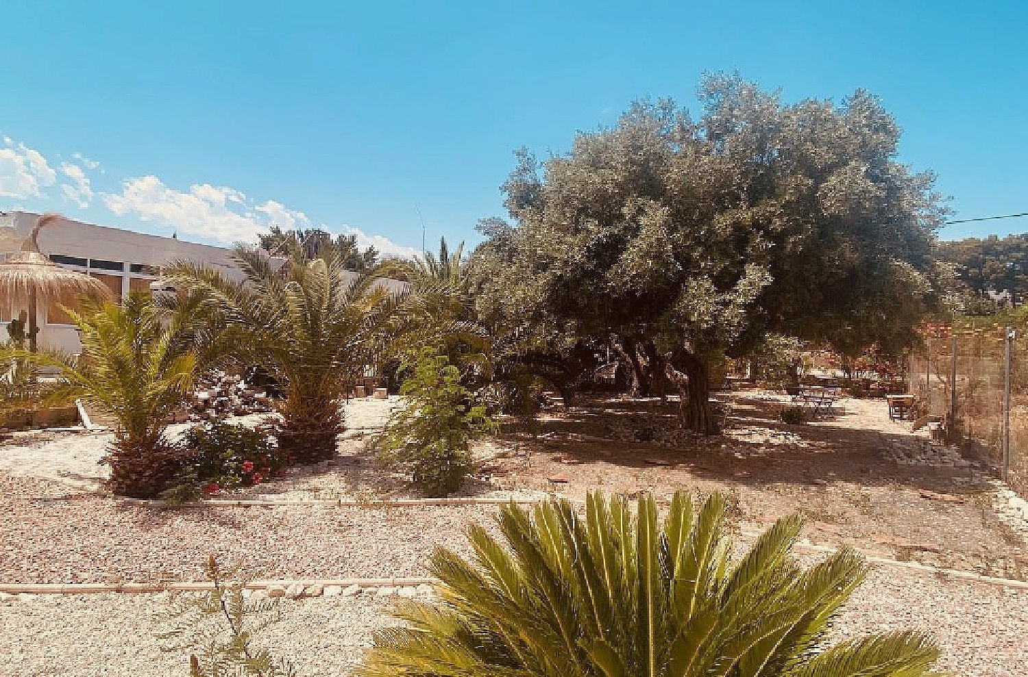  for sale villa Albatera Baix Segura 7