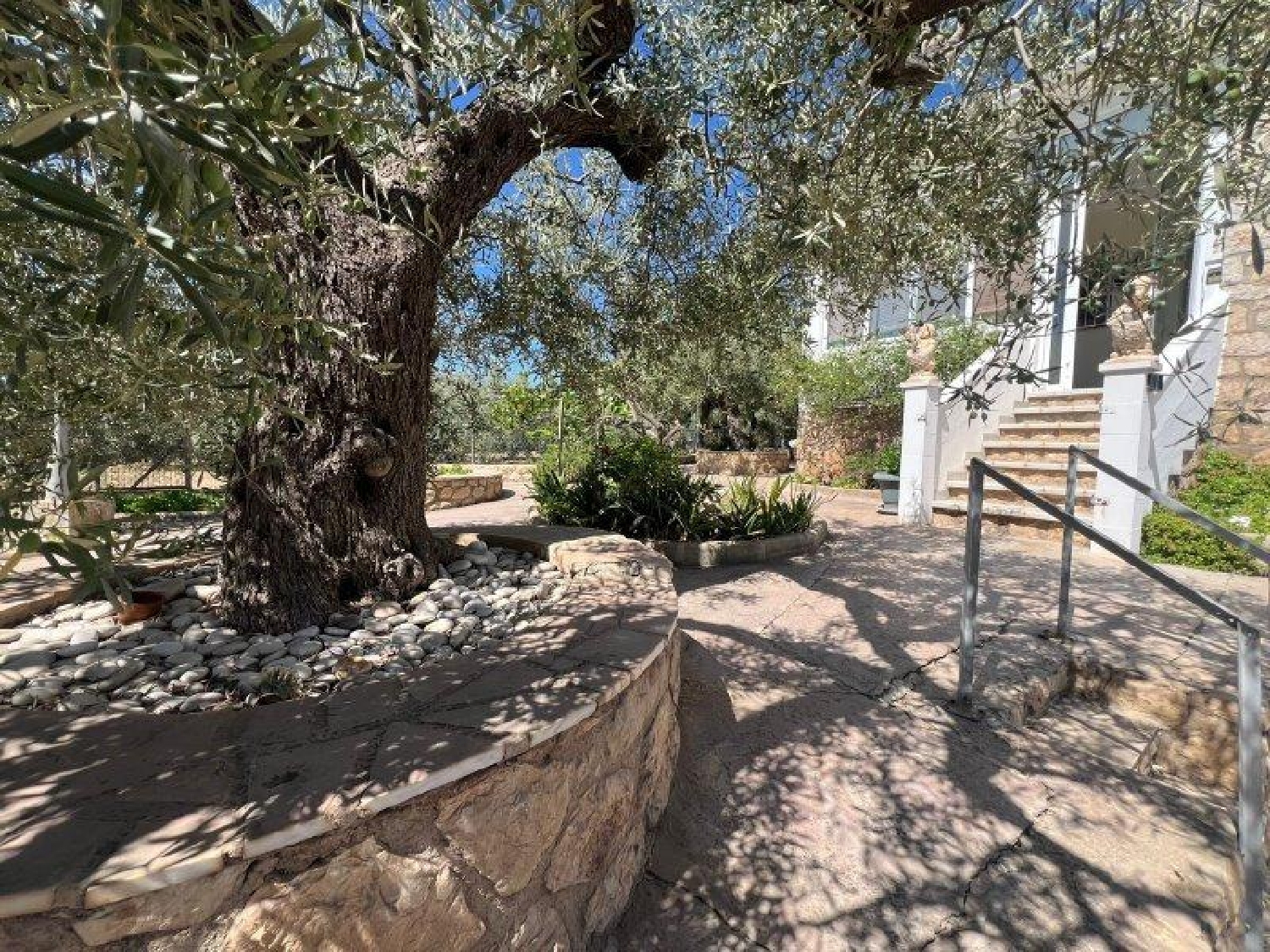  kaufen Villa Alcanar Montsià 6