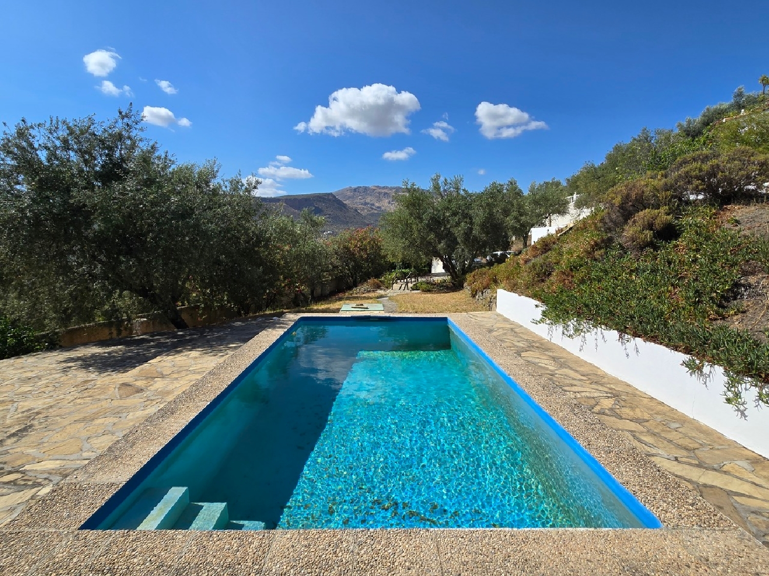 till salu villa Alcaucín Axarquía 3