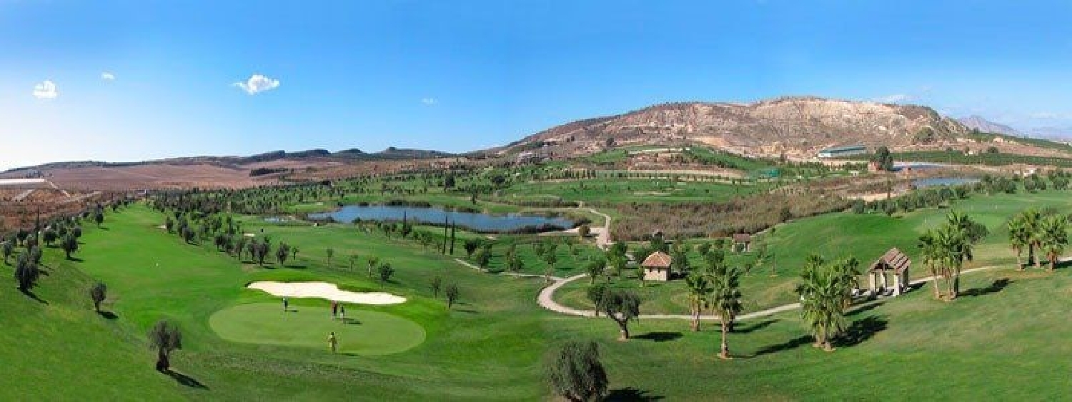  till salu villa Algorfa Baix Segura 11