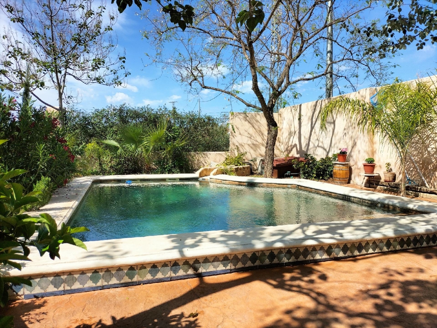  à vendre villa Alguazas Vega Media Del Segura 2