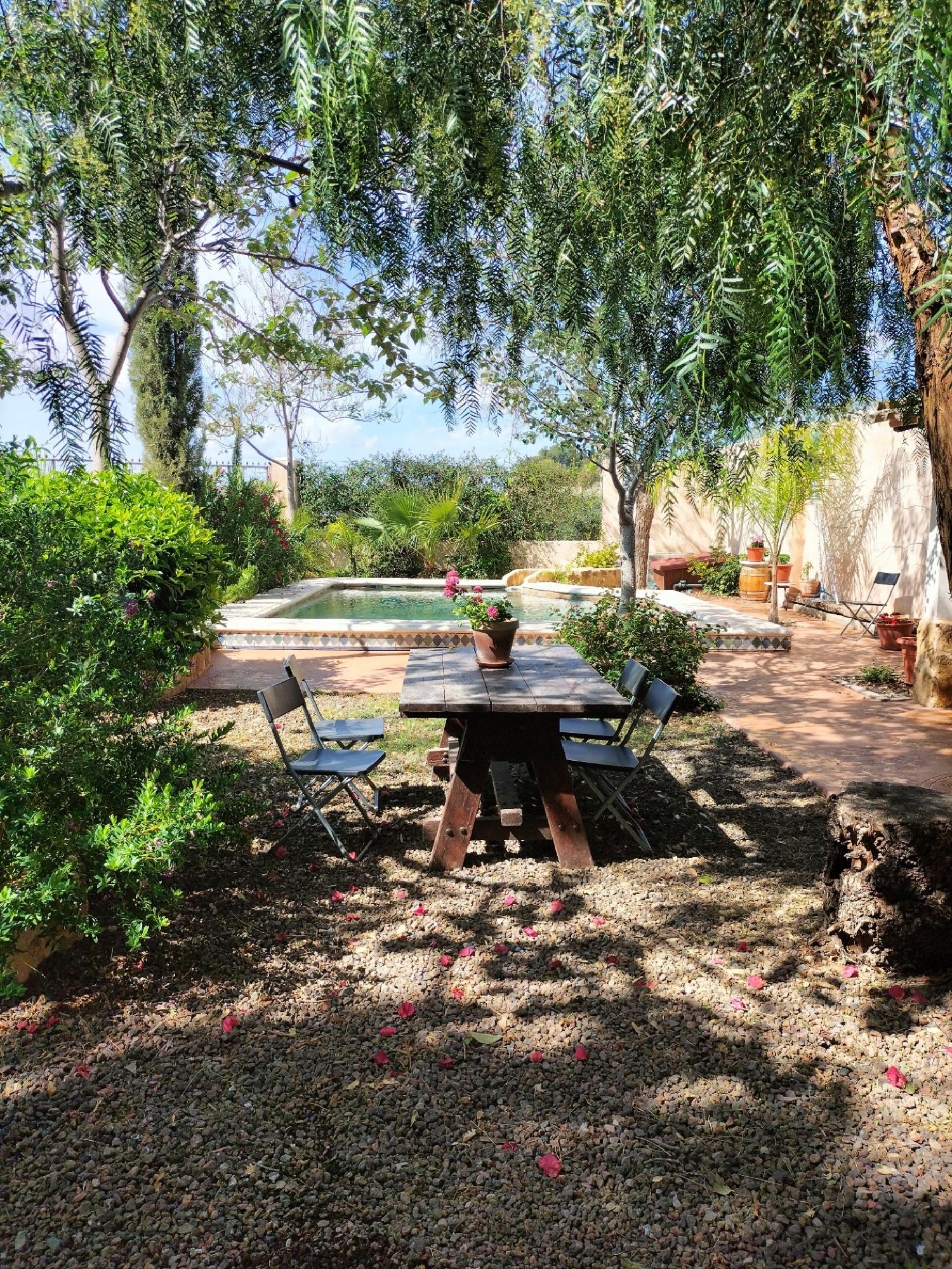  à vendre villa Alguazas Vega Media Del Segura 3