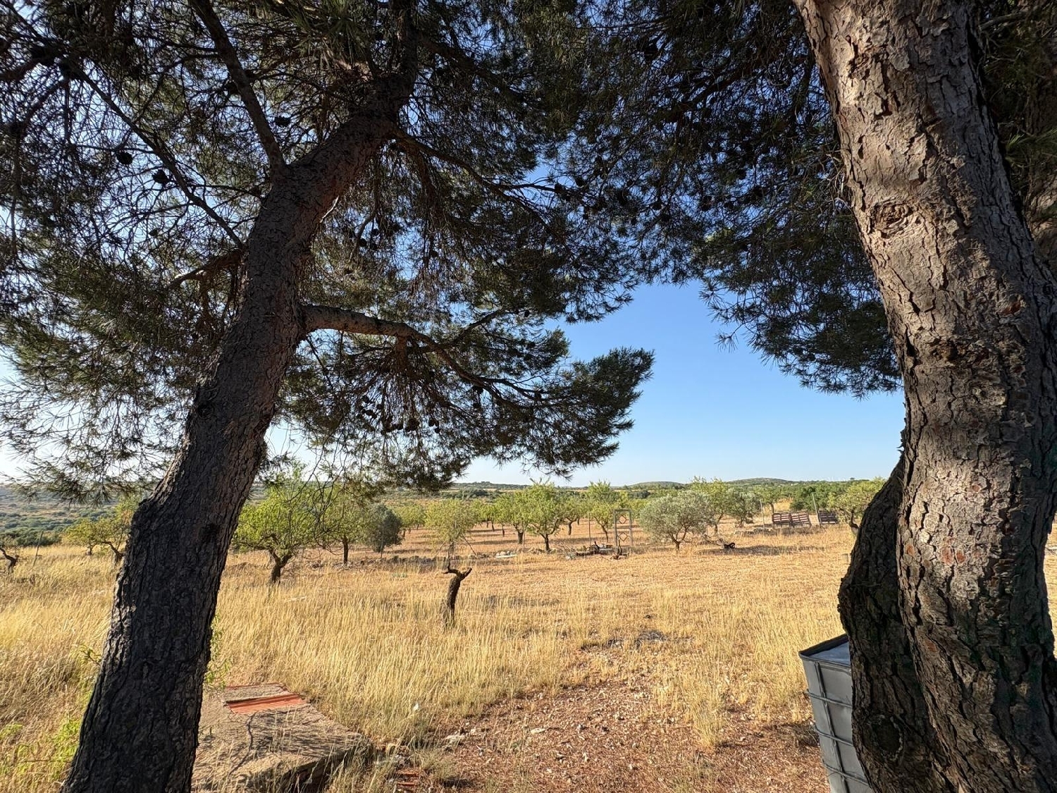 kaufen Villa Almansa Monte Ibérico Almansa 3