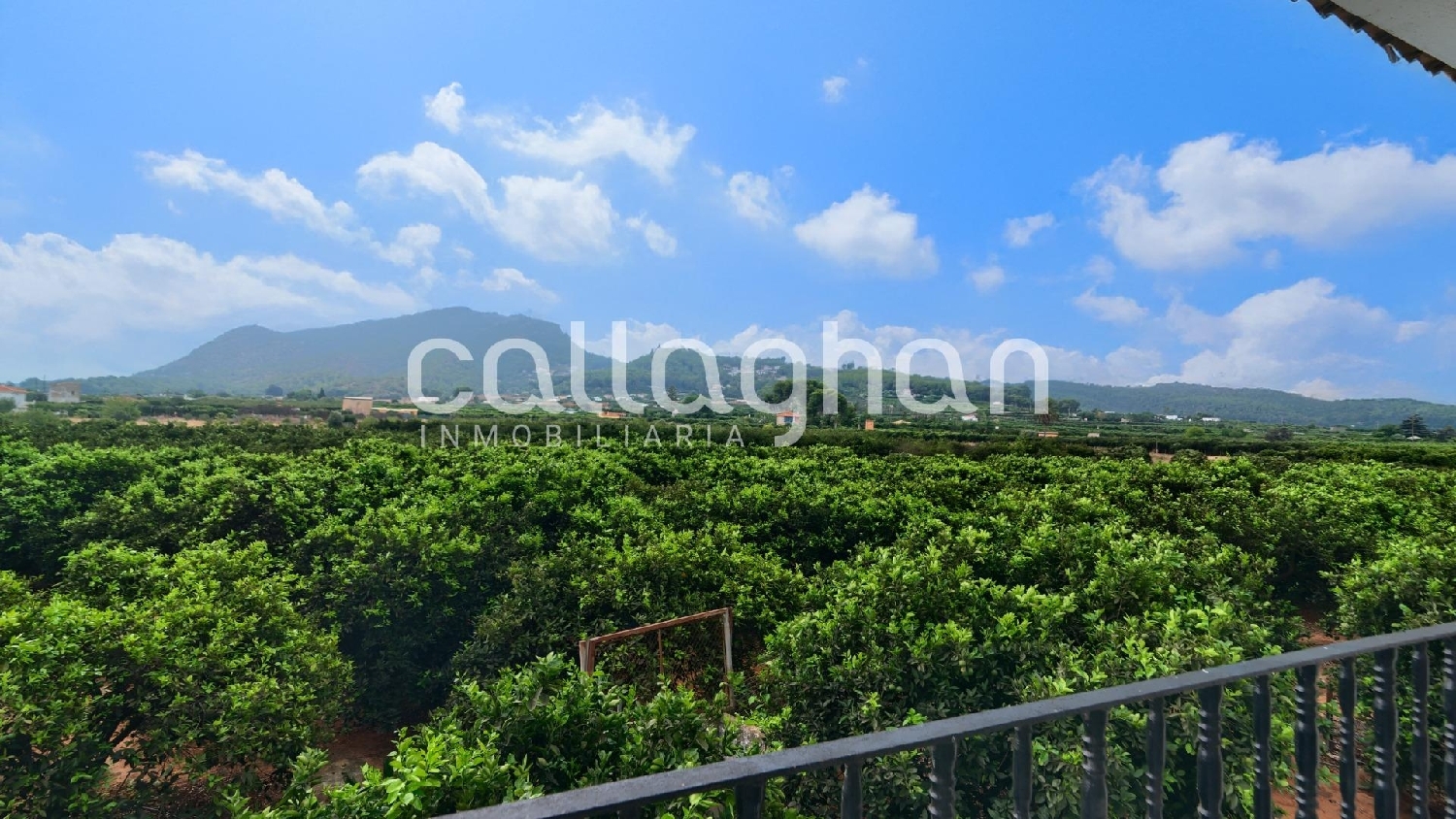  for sale villa Alzira Ribera Alta 6