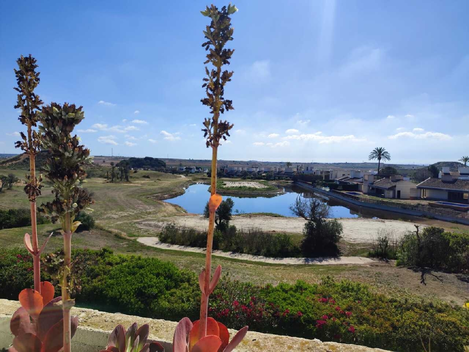  kaufen Villa Avileses Huerta De Murcia 4