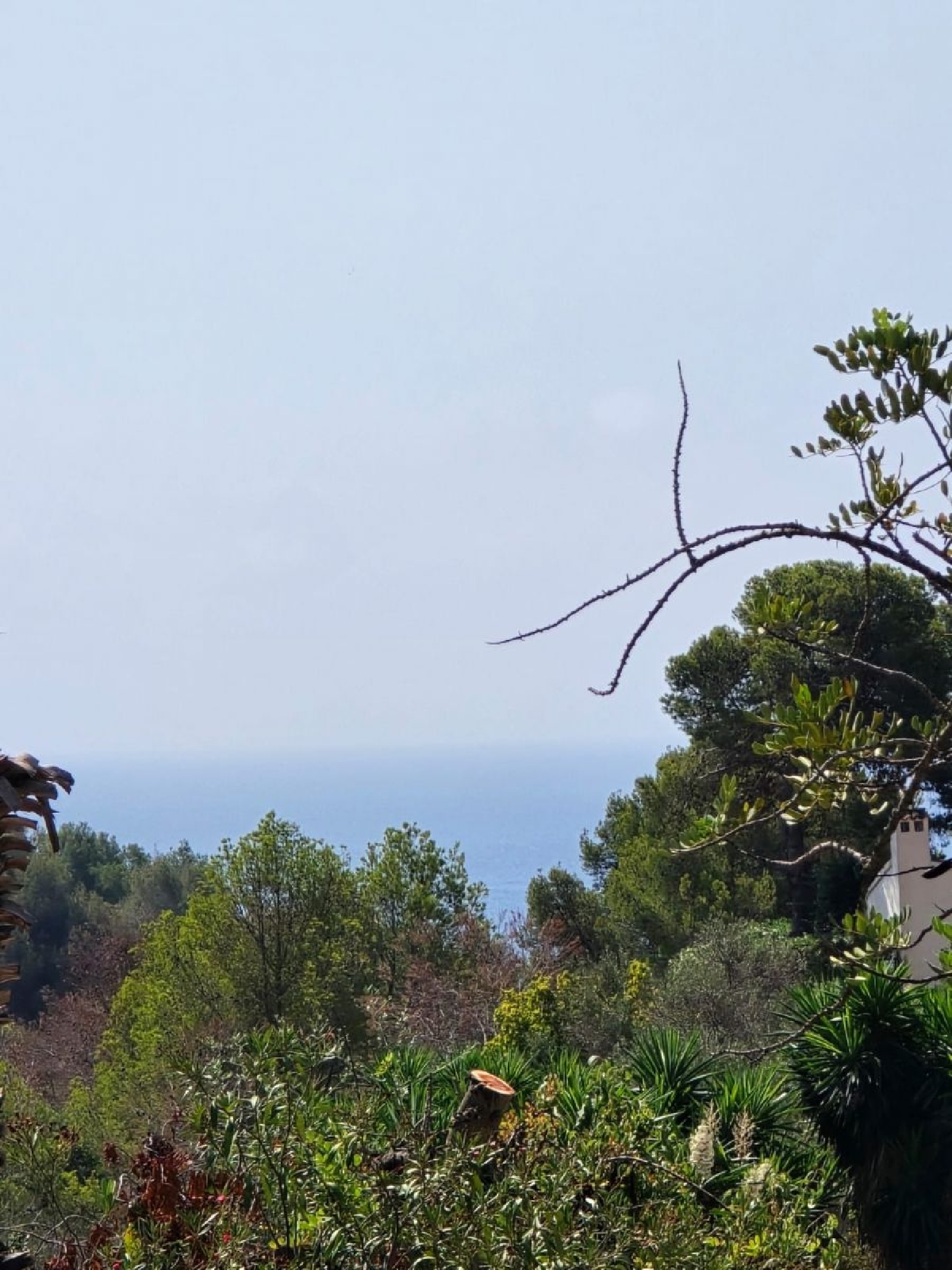  kaufen Villa Benissa Marina Alta 3