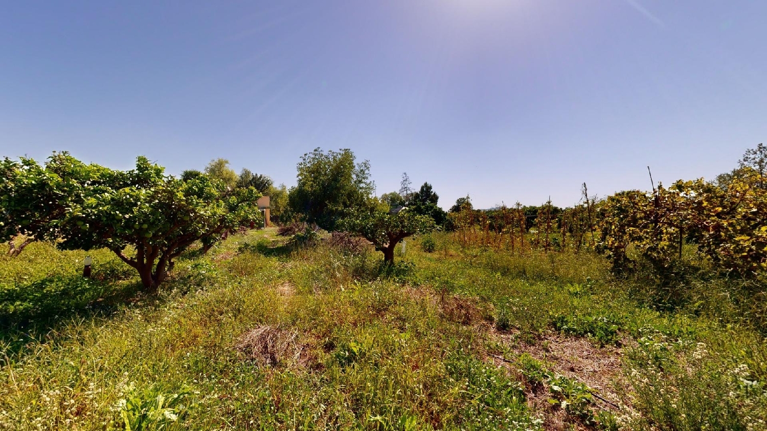  for sale villa Cheste Hoya De Buñol 4