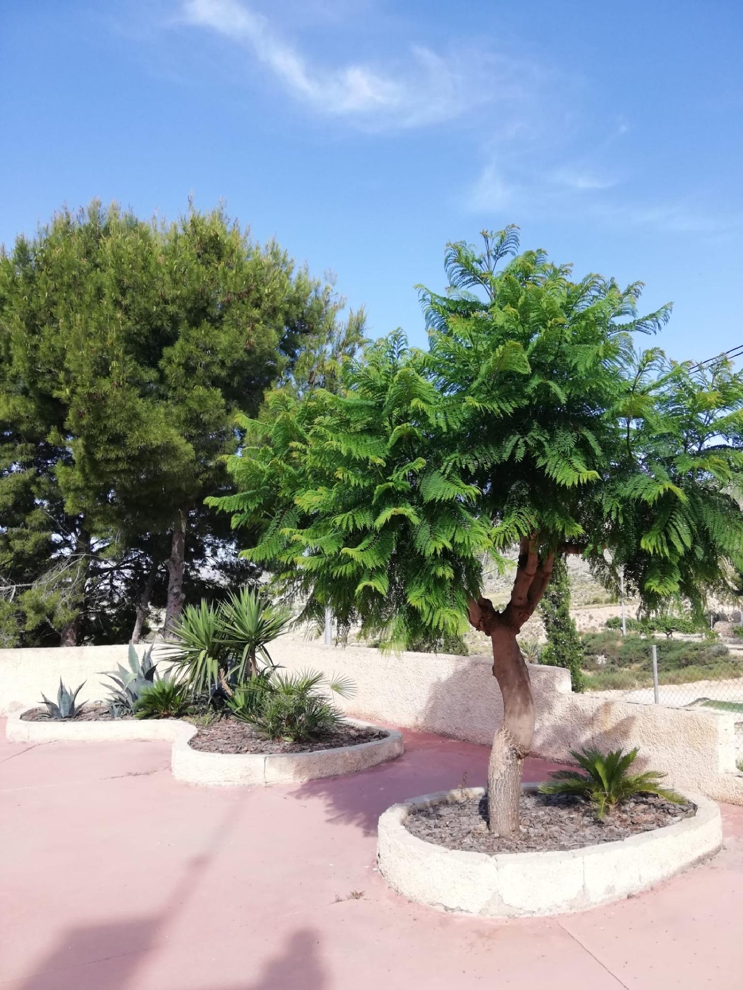  à vendre villa Crevillent Baix Vinalopó 8