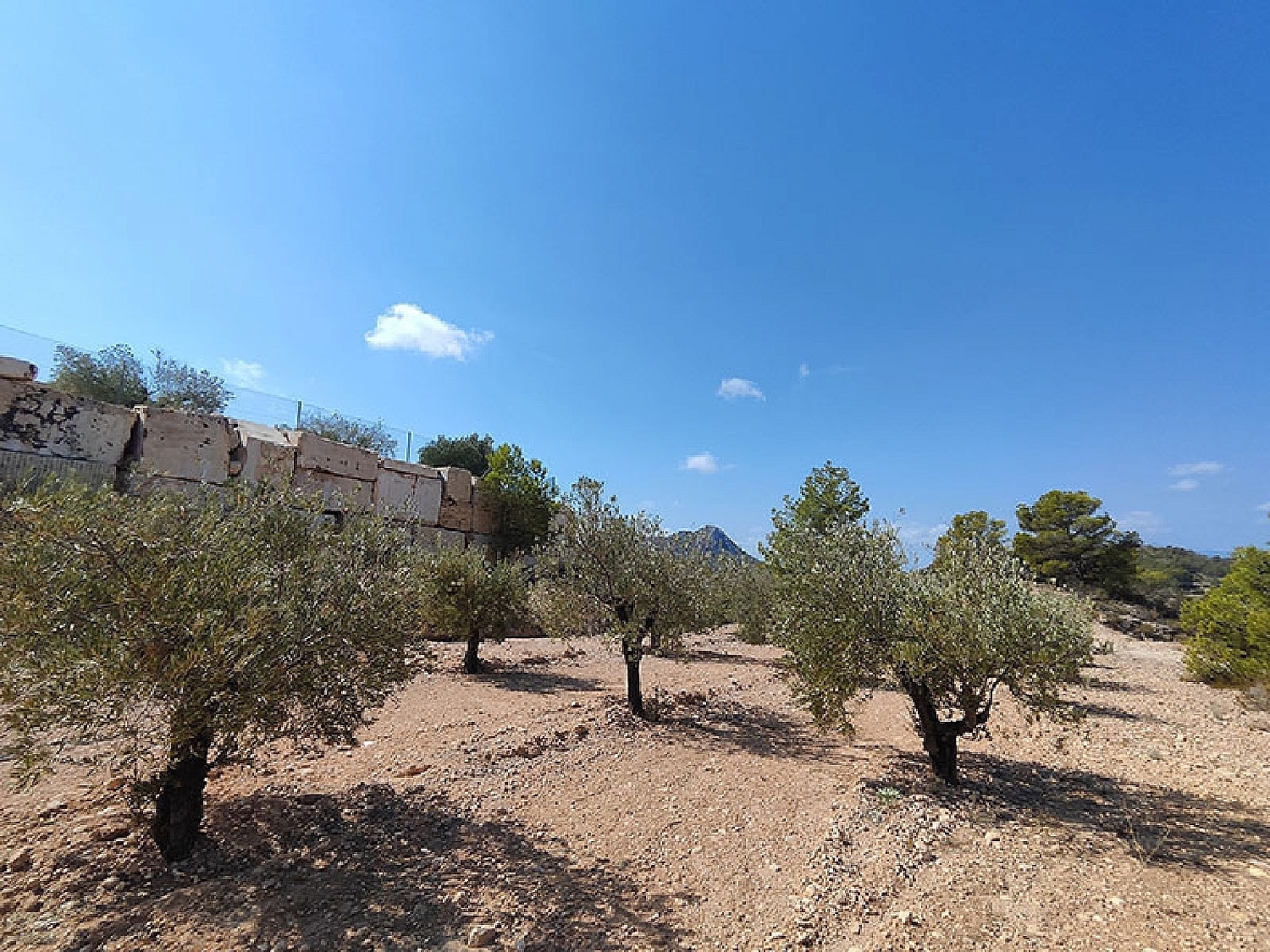  for sale villa Fortuna Oriental 9