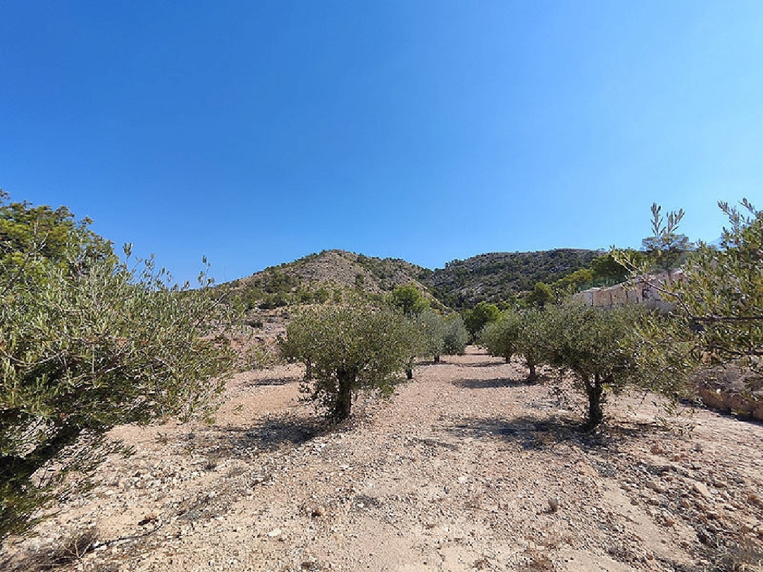  for sale villa Fortuna Oriental 13