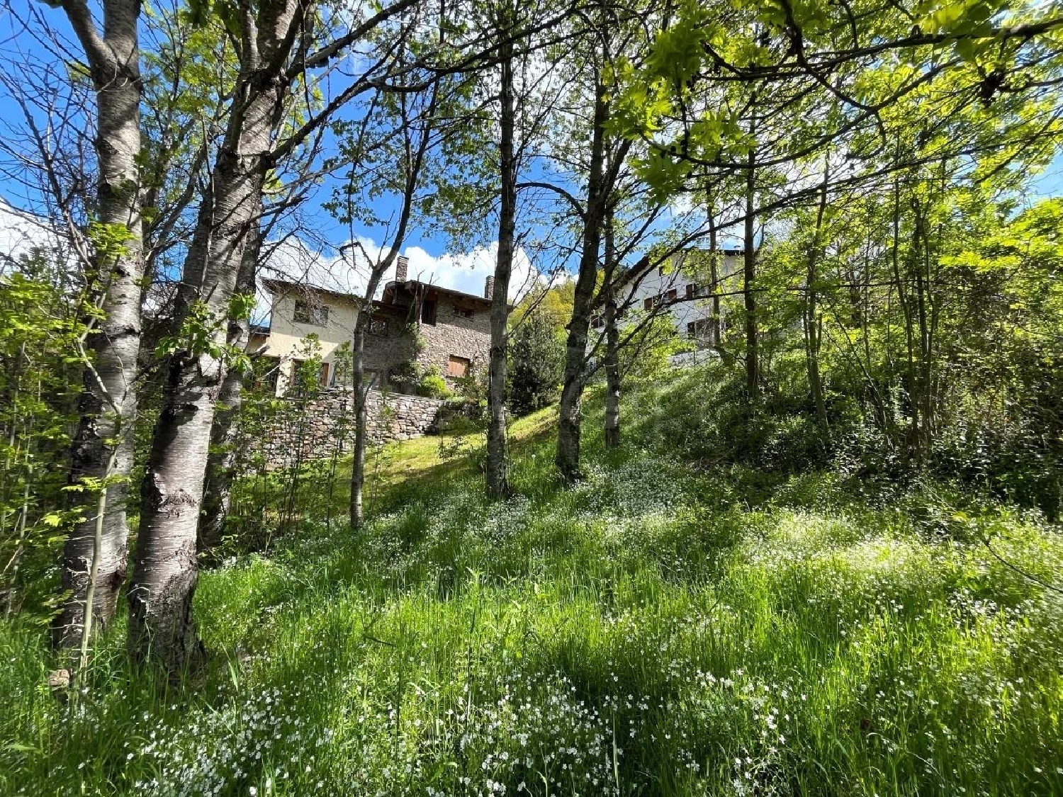  till salu villa La Massana La Massana 1