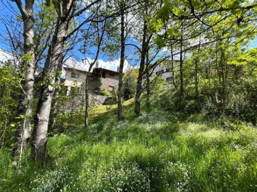La Massana La Massana villa foto 6287315