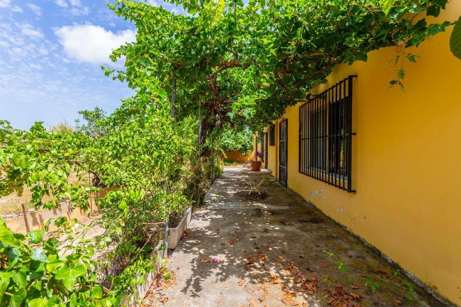 te koop villa Los Montesinos Baix Segura 3