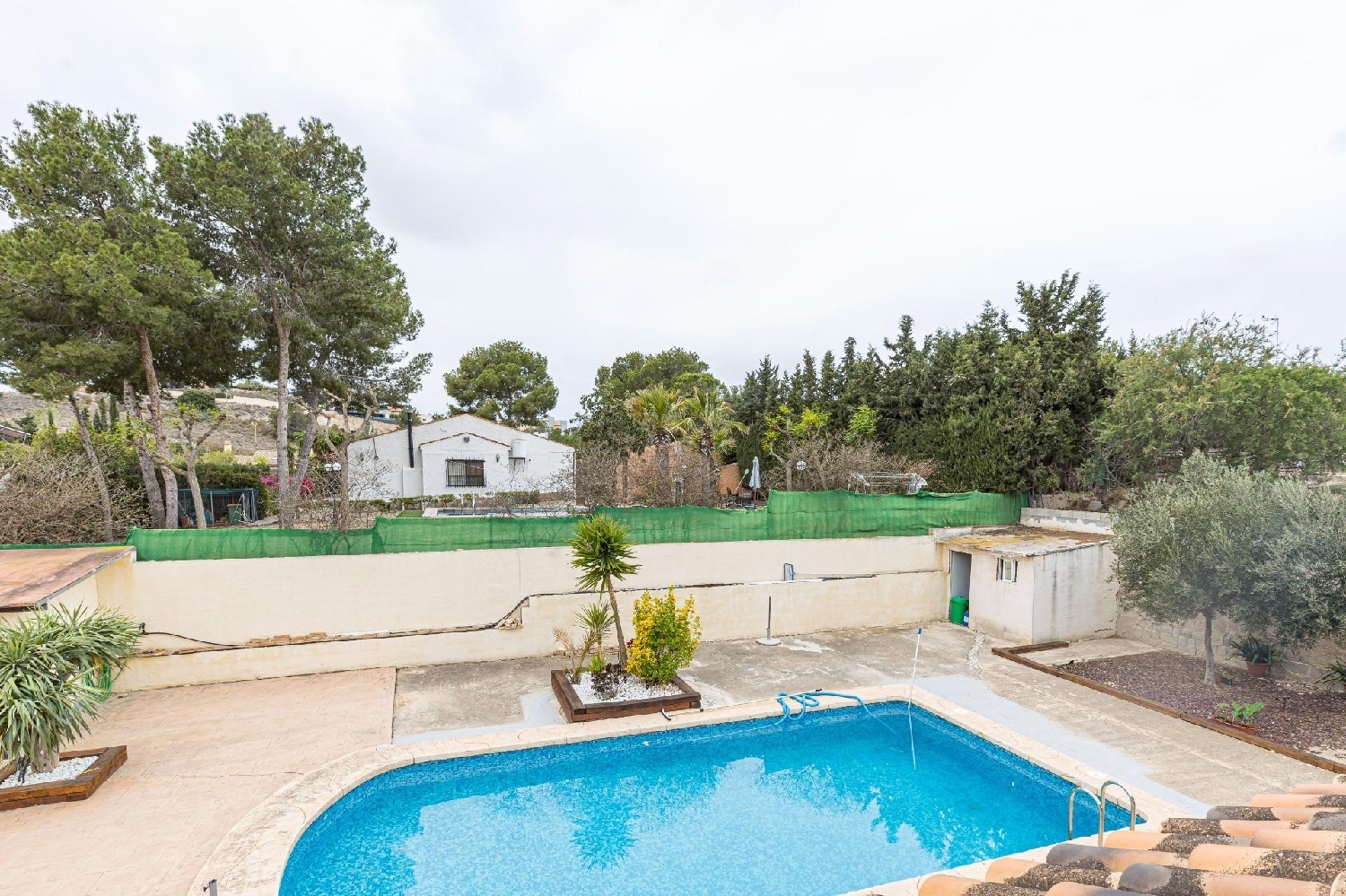  à vendre villa Molina De Segura Vega Media Del Segura 4