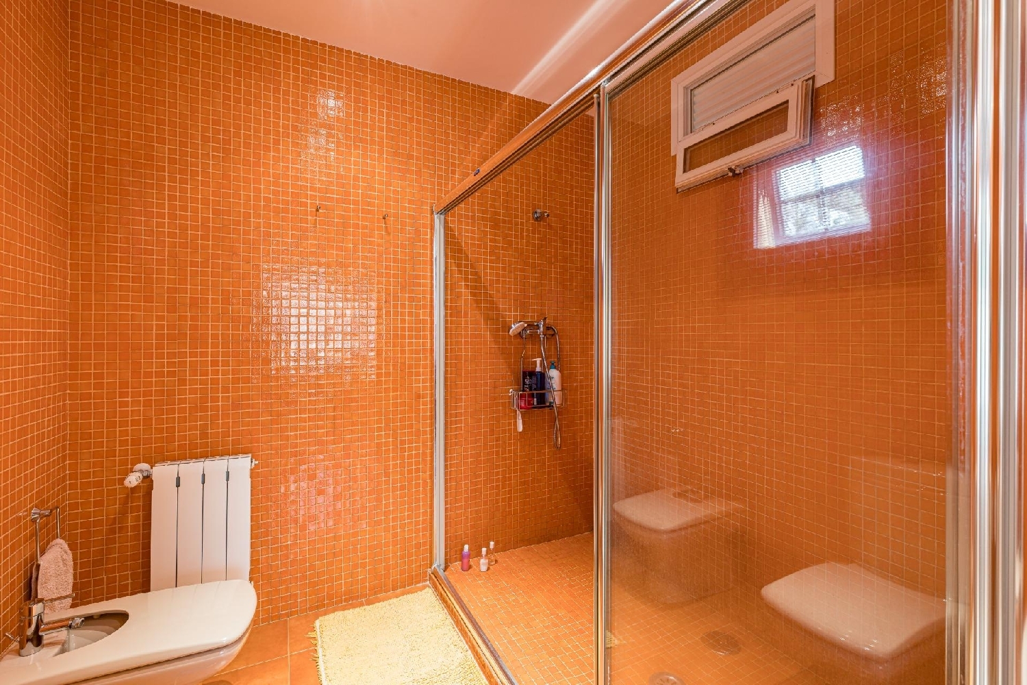  à vendre villa Molina De Segura Vega Media Del Segura 19