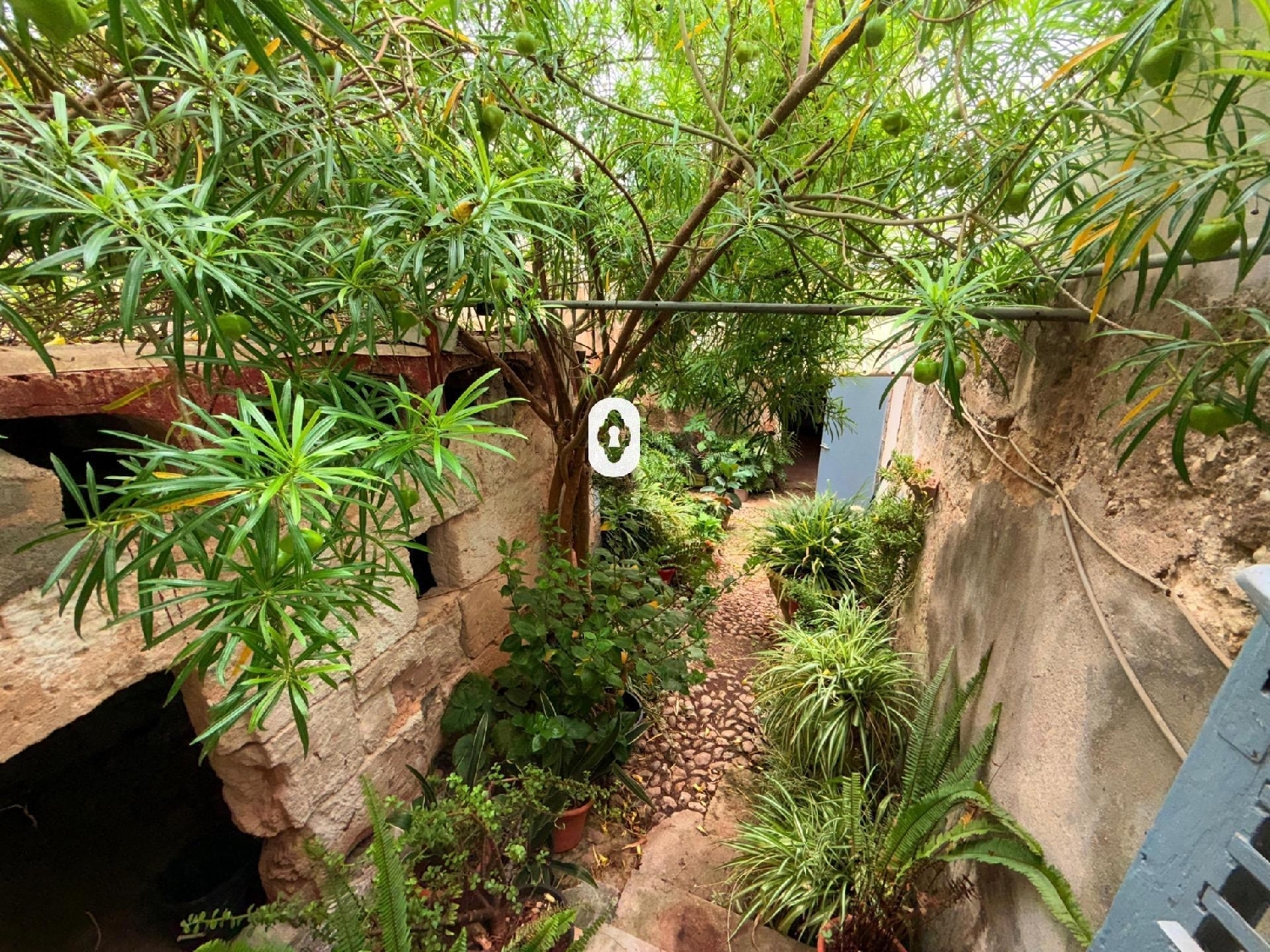  for sale villa Muro Nord 1