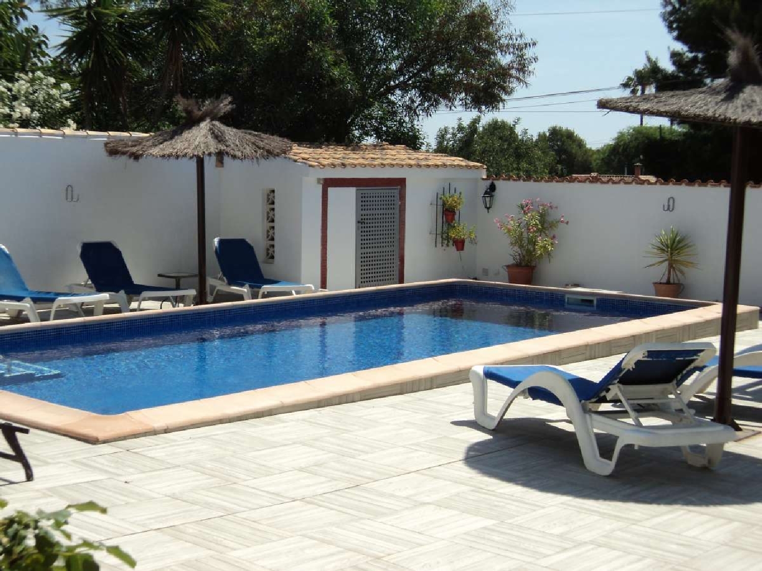  for sale villa Orihuela Baix Segura 40
