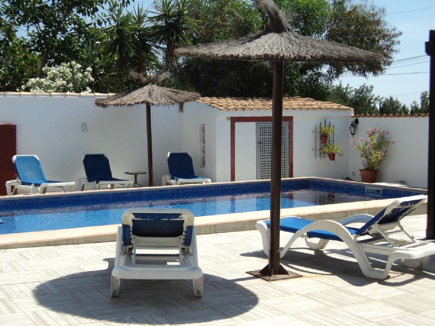  for sale villa Orihuela Baix Segura 6