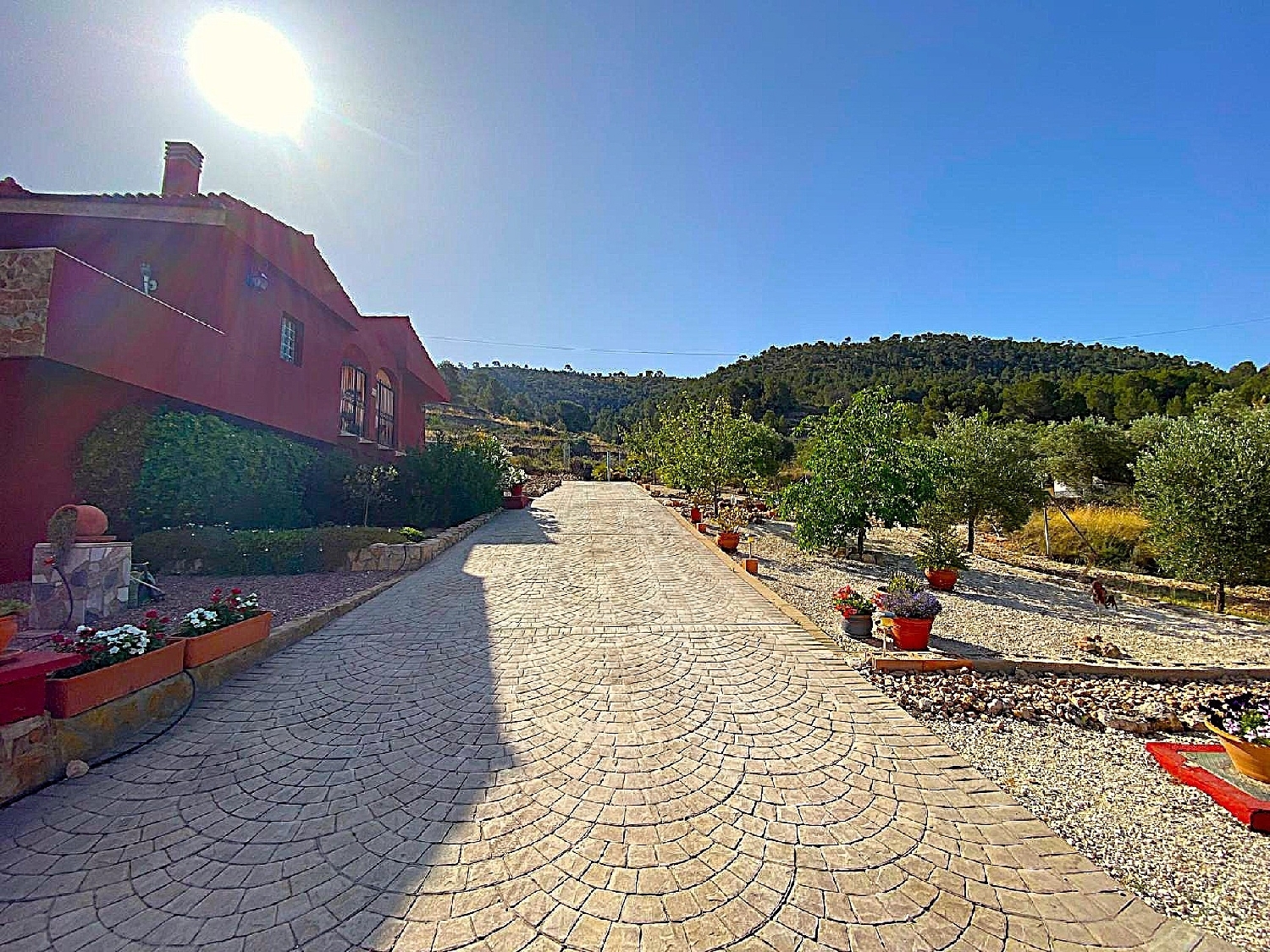  till salu villa Pinoso Vinalopó Mitjà 7