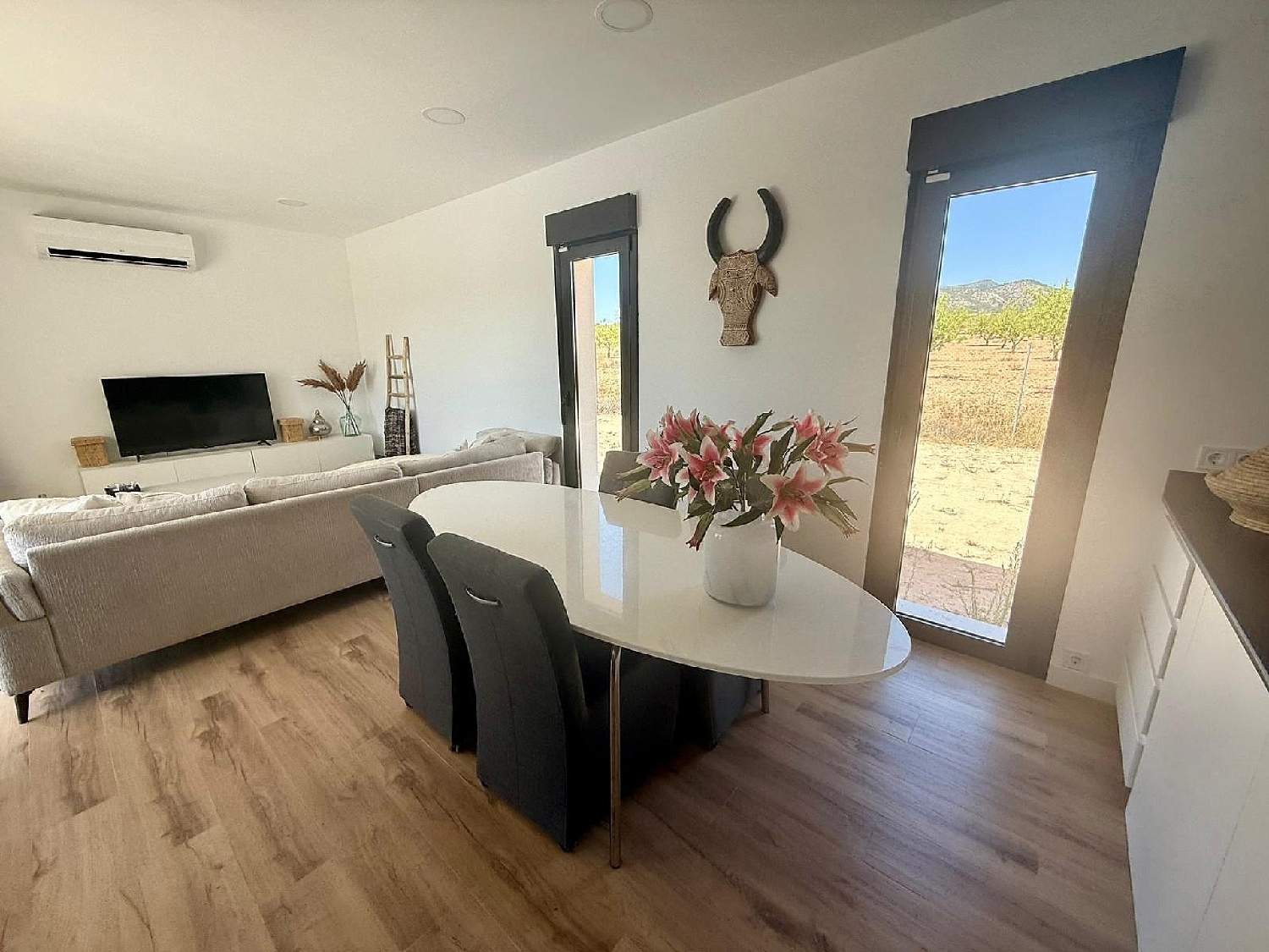  for sale villa Pinoso Vinalopó Mitjà 13