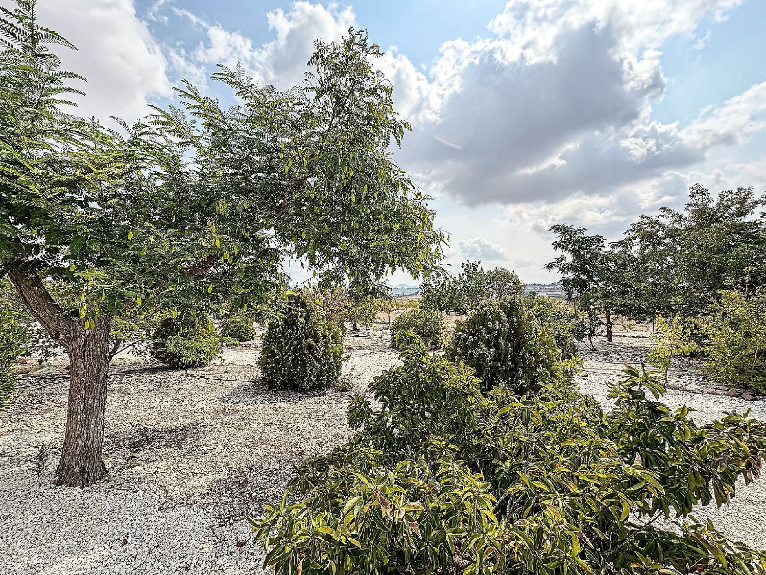  en venta chalet Pinoso Vinalopó Mitjà 15