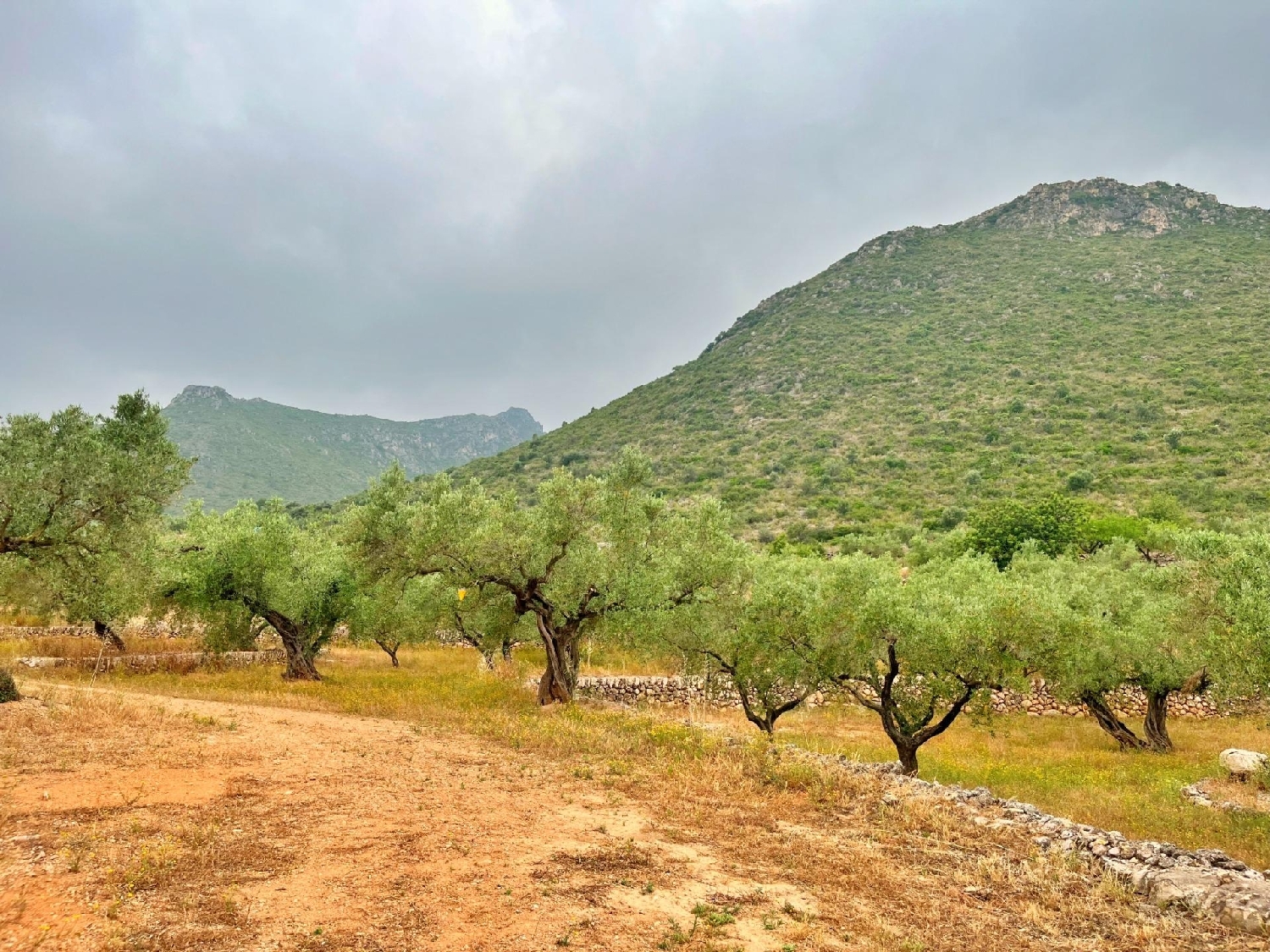  till salu villa Roquetes Baix Ebre 6