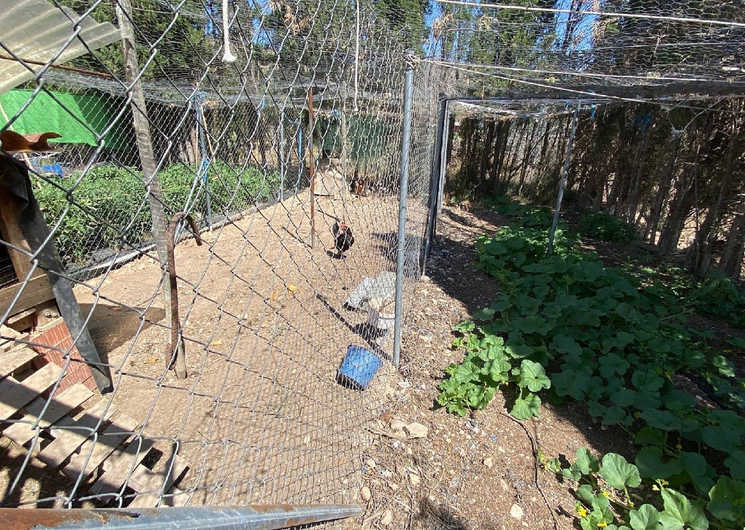  te koop villa Salinas Alt Vinalopó 15