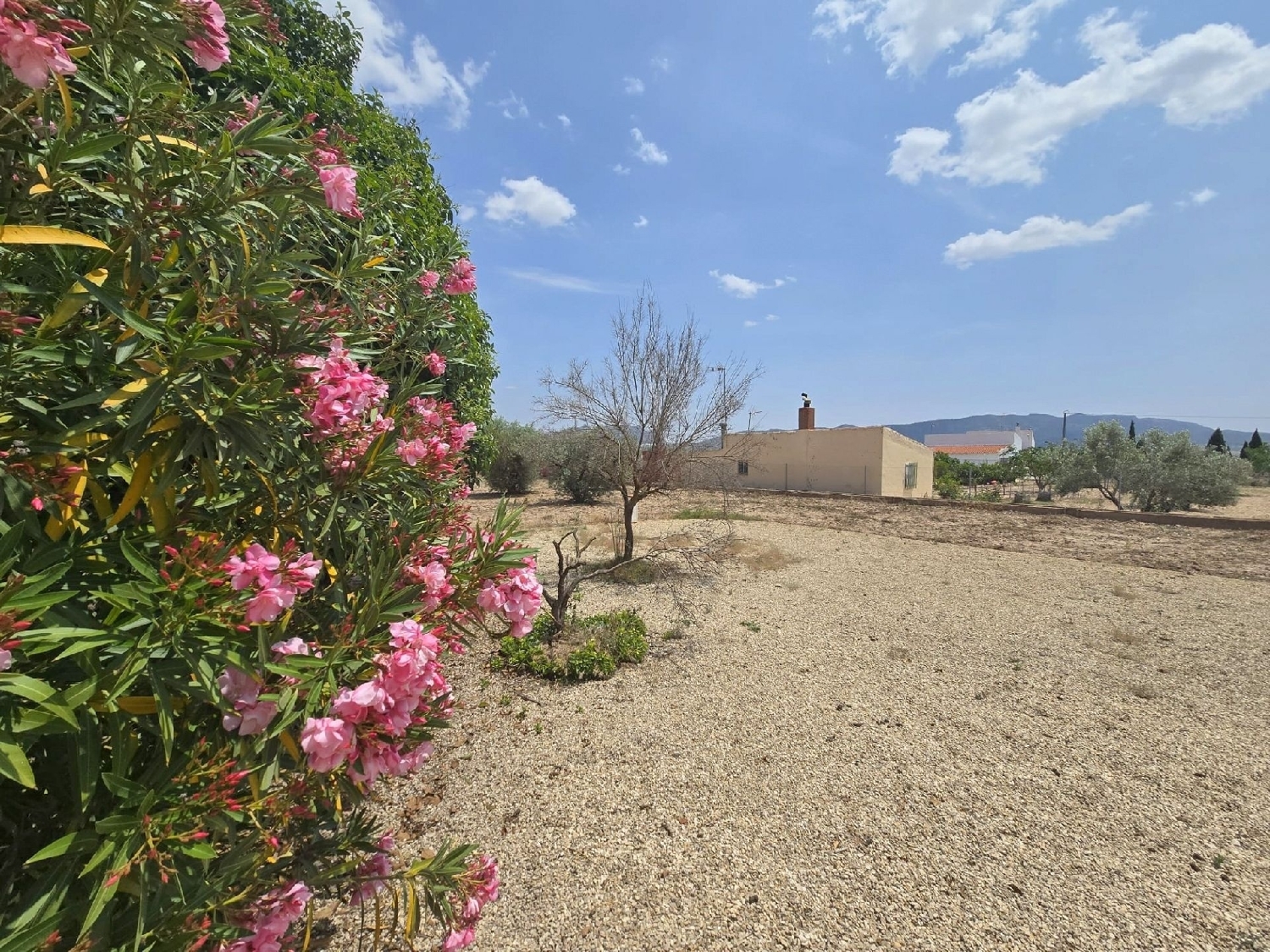  for sale villa Salinas Alt Vinalopó 30