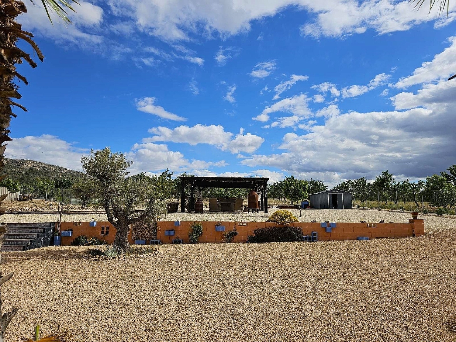  te koop villa Salinas Alt Vinalopó 9