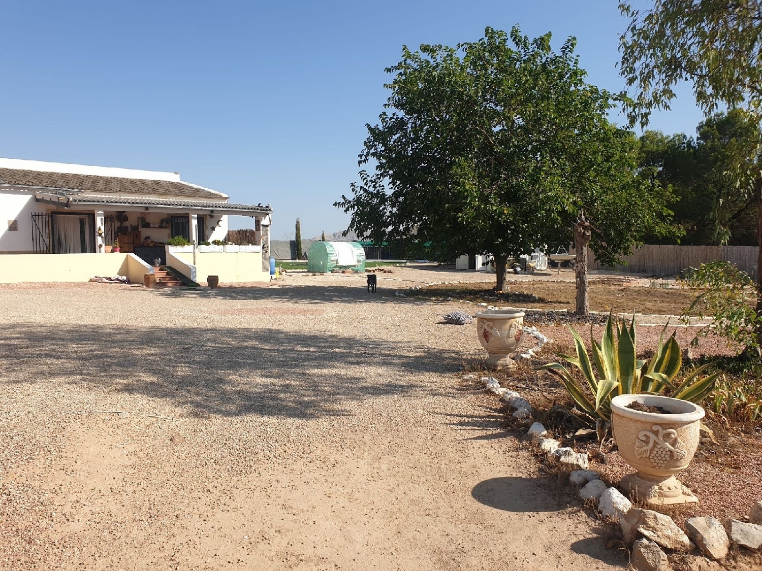  for sale villa Sax Alt Vinalopó 18