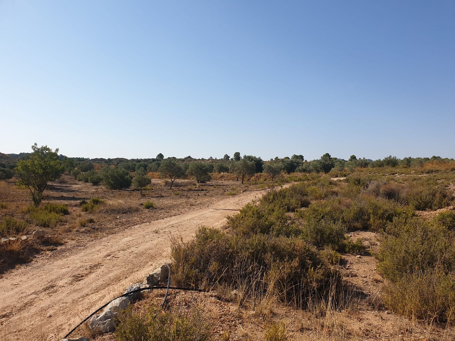  for sale villa Sax Alt Vinalopó 11