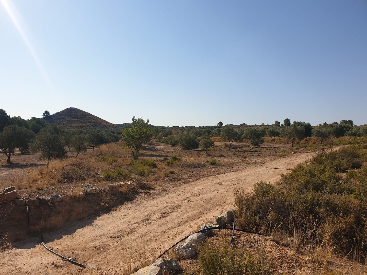  for sale villa Sax Alt Vinalopó 14