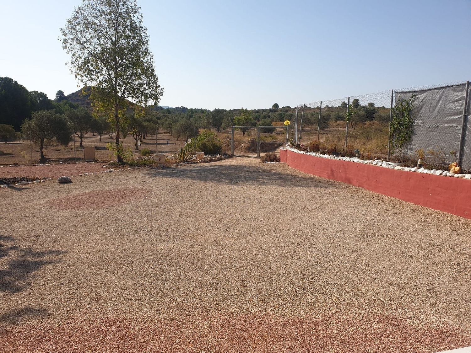  for sale villa Sax Alt Vinalopó 21