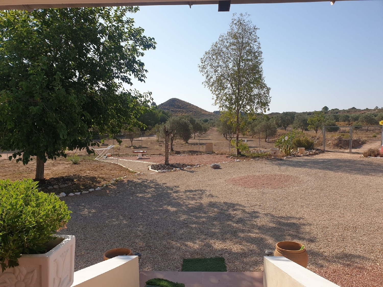  for sale villa Sax Alt Vinalopó 17