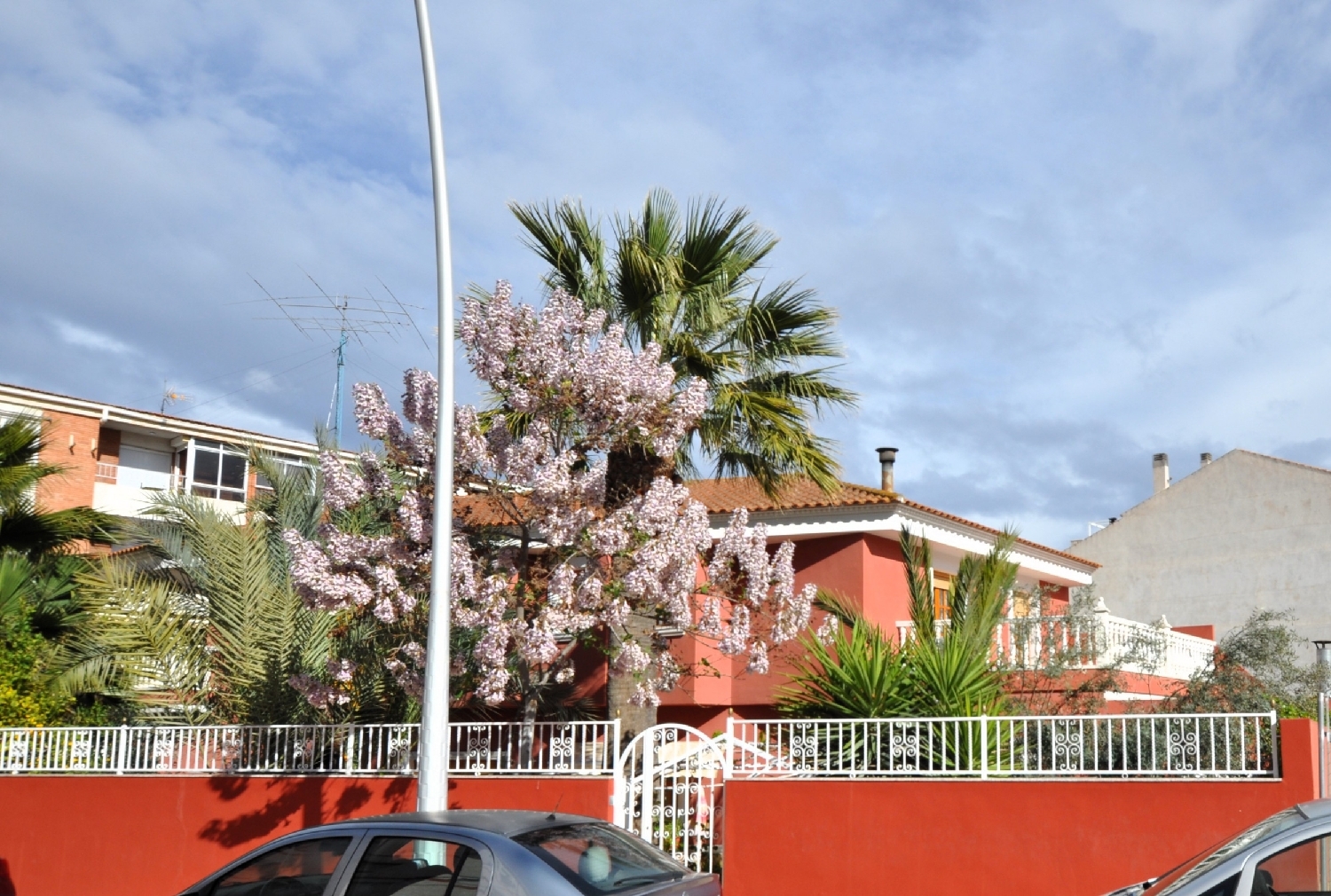  for sale villa Sax Alt Vinalopó 1